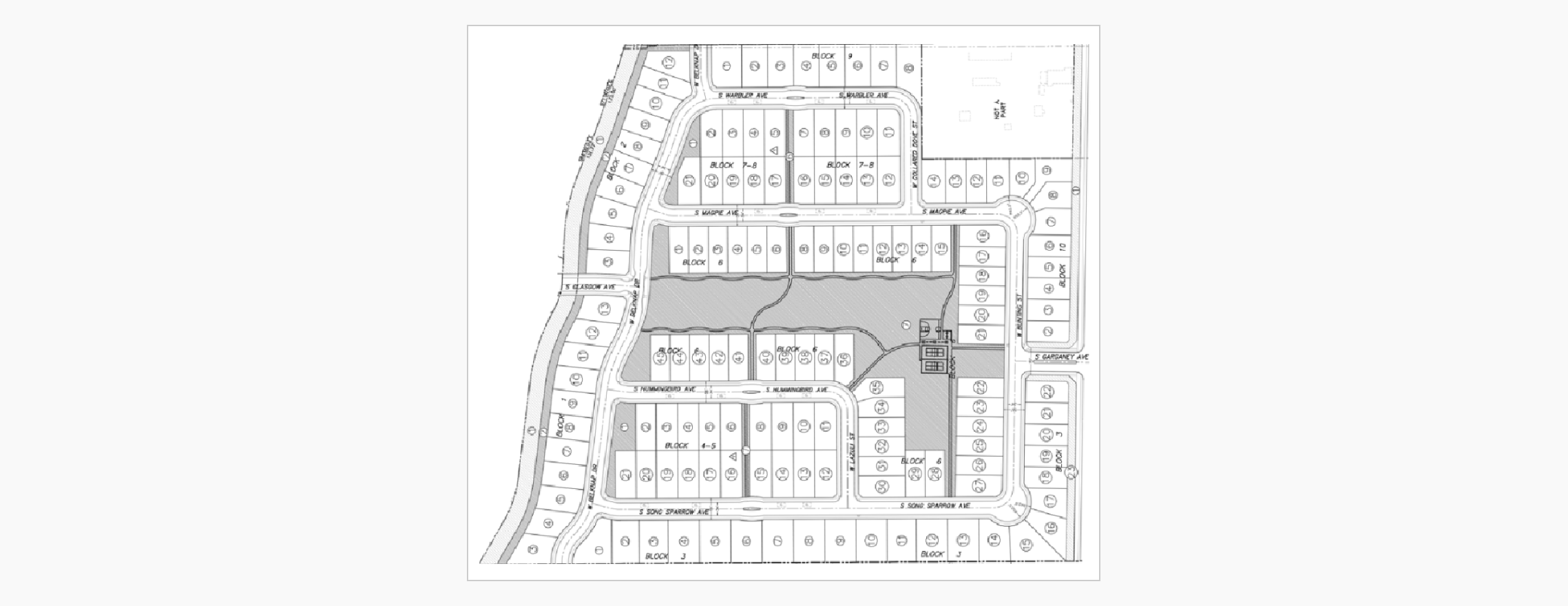 Swainson's Hawk Arbor rendering