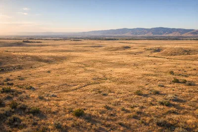 Stage 1 — land development progression